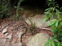 20050227-RedHill 076